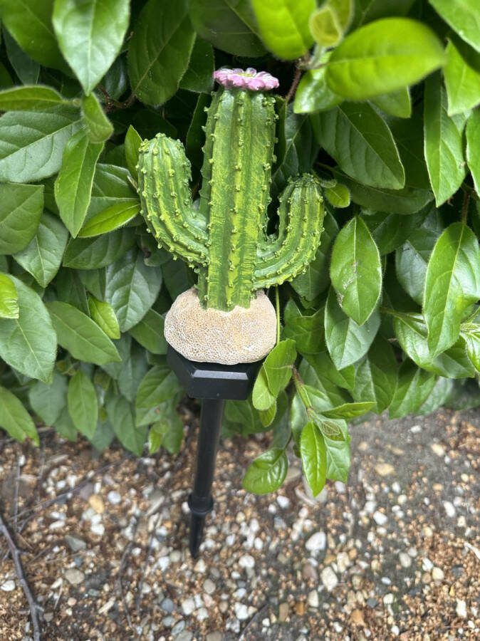 Impuls Polyresin solarlamp op tuinsteker Cactus meerkleurig tuinsteker hoogte 43 x 11 x 2 cm Tuindecoratie Tuinverlichting