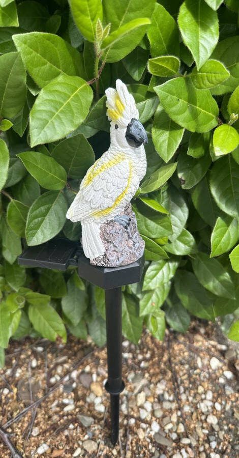 Impuls Polyresin solarlamp op tuinsteker Kaketoe meerkleurig tuinsteker hoogte 43 x 11 x 2 cm Tuindecoratie Tuinverlichting