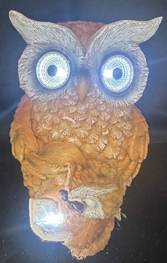 Impuls Polyresin solarlamp Uilen met boek meerkleurig met 1 LED staand model hoogte 16 x 12 x 13 cm Tuindecoratie Tuinverlichting