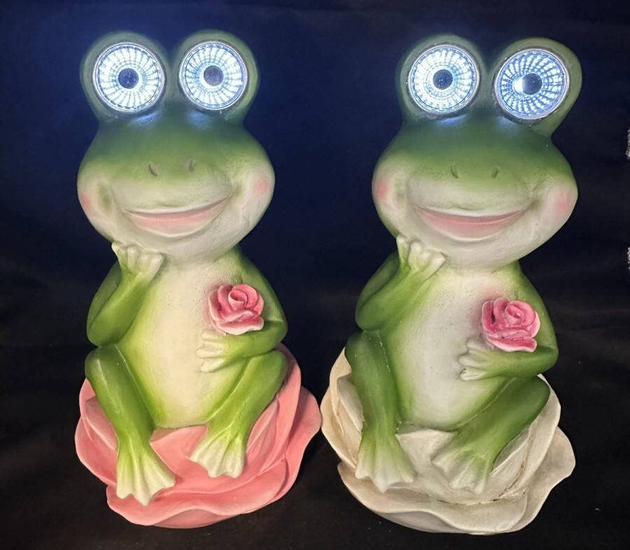 Impuls Polyresin solarlampen Kikker op bloem Set van 2 stuks meerkleurig met 2 LEDs staand model hoogte 20 x 13 x 8 cm Tuindecoratie Tuinverlichting