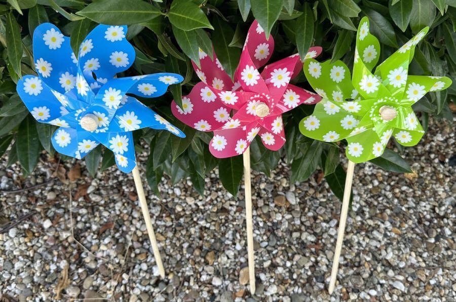 Impuls Set van 3 windmolens kunststof+houten steker bloem motief- meerkleurig blauw roze groen dia 17 cm x hoogte 48 cm Tuinaccessoires tuinstekers