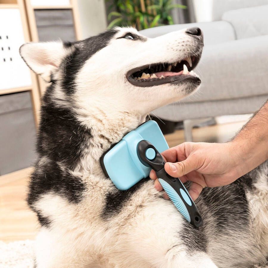 Innovagoods Reinigingsborstel voor huisdieren met intrekbare borstelharen Groombot