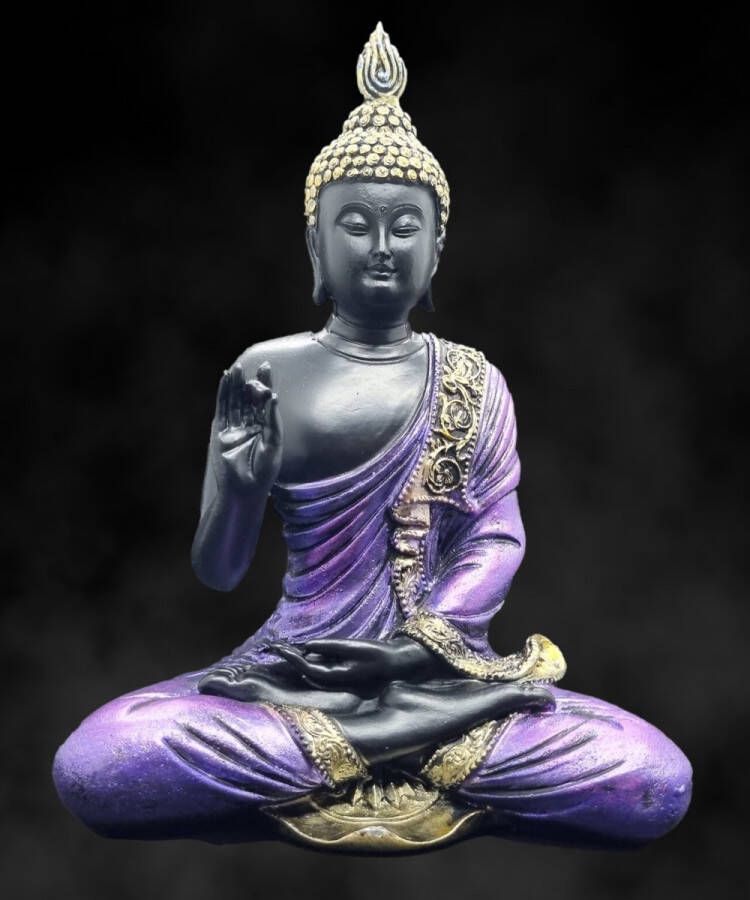 Inspiring Minds Boeddha beeldje binnen Thais Boeddha beeld Chin Mudra 21.5cm