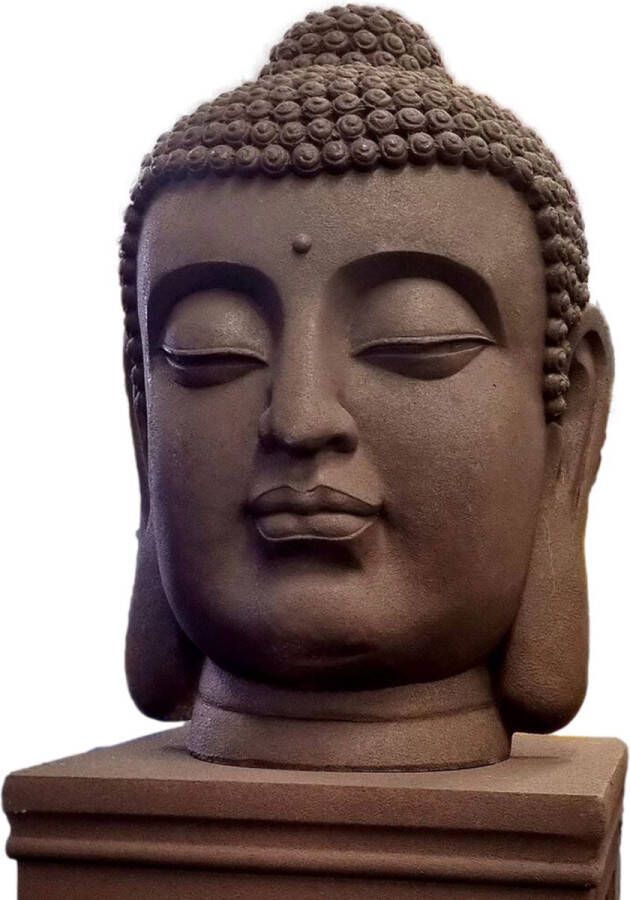 Inspiring Minds Boeddha hoofd groot XXL 70cm als boeddhahoofd tuinbeeld