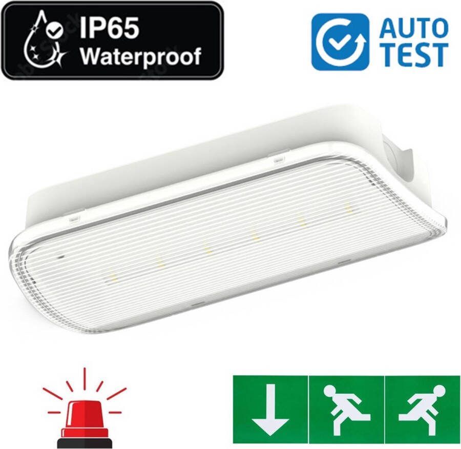 Integral LED Auto-Test Compact LED Bulkhead Noodverlichting 1w 150 Lumen IP65 Met pijlaanduiding 231x116mm