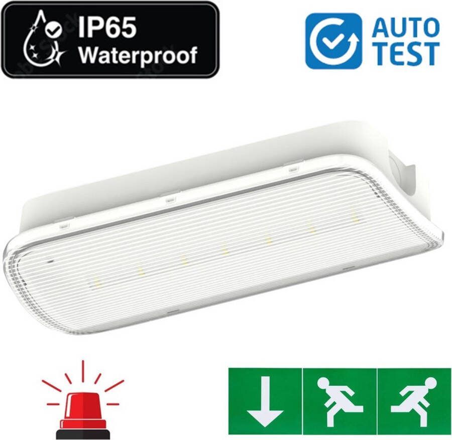 Integral LED Auto-Test Standaard LED Bulkhead Noodverlichting 1w 150 Lumen IP65 Met pijlaanduiding 357x116mm