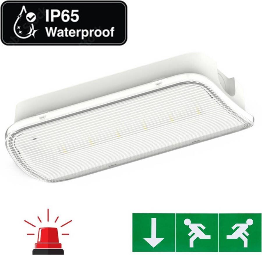 Integral LED Compact LED Bulkhead Noodverlichting 1w 150 Lumen IP65 Met pijlaanduiding 231x116mm