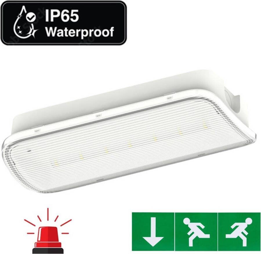 Integral LED Standaard LED Bulkhead Noodverlichting 1w 150 Lumen IP65 Met pijlaanduiding 357x116mm