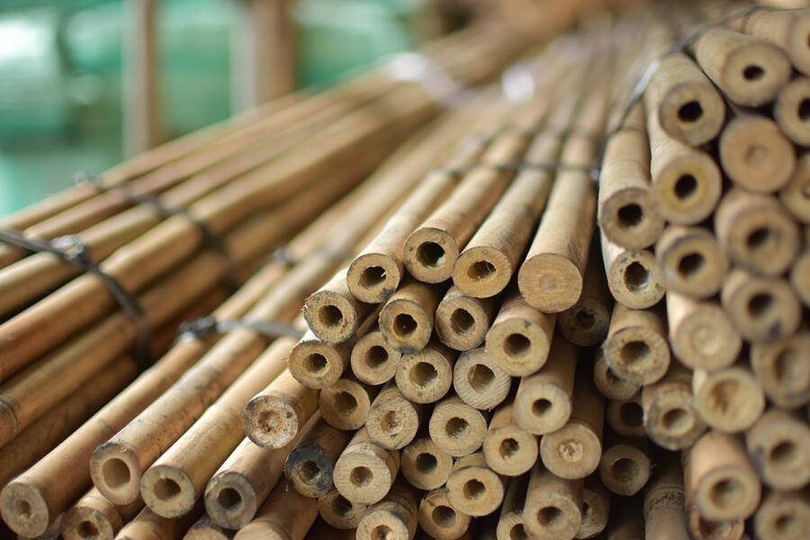 Intergard Bamboestokken tonkin tonkinstokken 180cm ø14 16mm per 250 stuks