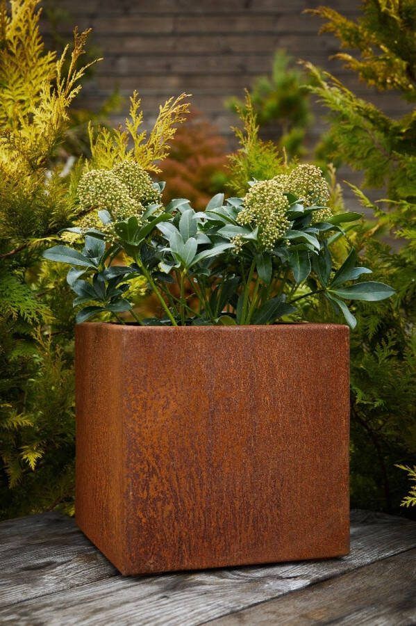 Intergard Cortenstaal plantenbak bloembak vierkant 47x47x50cm
