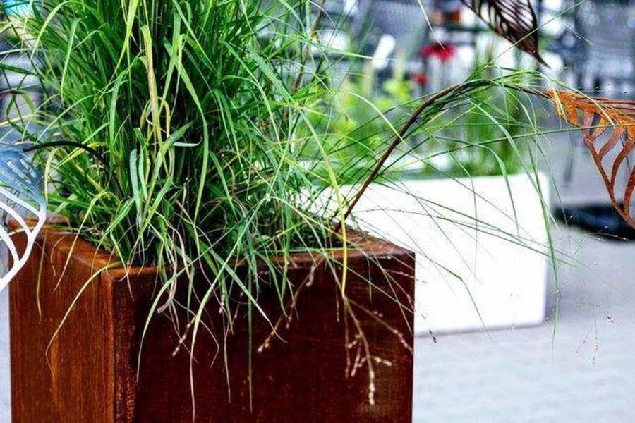 Intergard Cortenstaal plantenbak bloembak vierkant 50x50cm