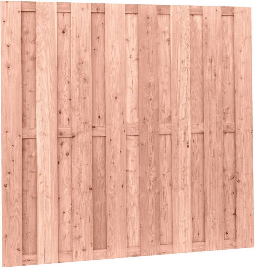 Intergard Douglas schutting zichtdicht 21 planks 180x180cm RVS