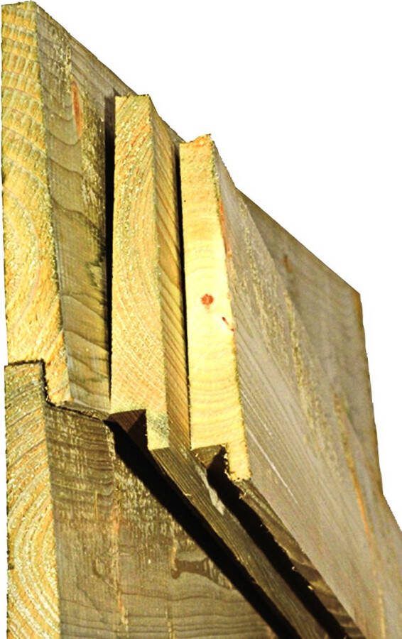 Intergard Douglas Zweeds Rabat Potdekselplanken 400cm (10 24x195mm)