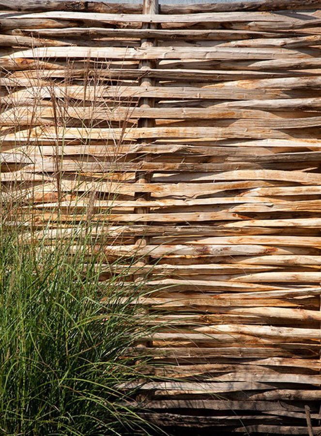 Intergard Kastanjescherm gespleten tuinschermen vlechtscherm 100x160cm