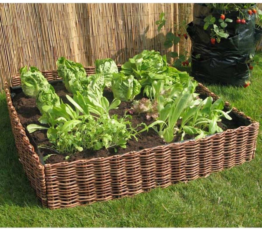 Intergard Moestuinbak Plantenbak Wilgen 100x100x20cm