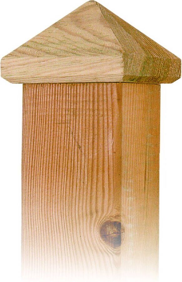 Intergard Paalornament paalkap voor tuinpaal hout 80mm