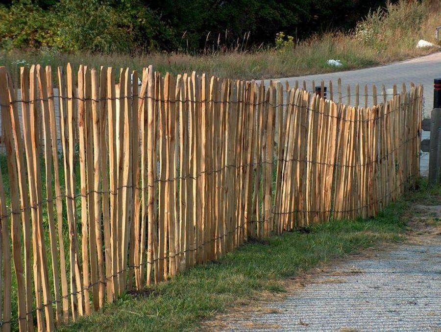 Intergard Schapenhek Acacia robinia Hekwerk 1 20x10m (8 9cm)