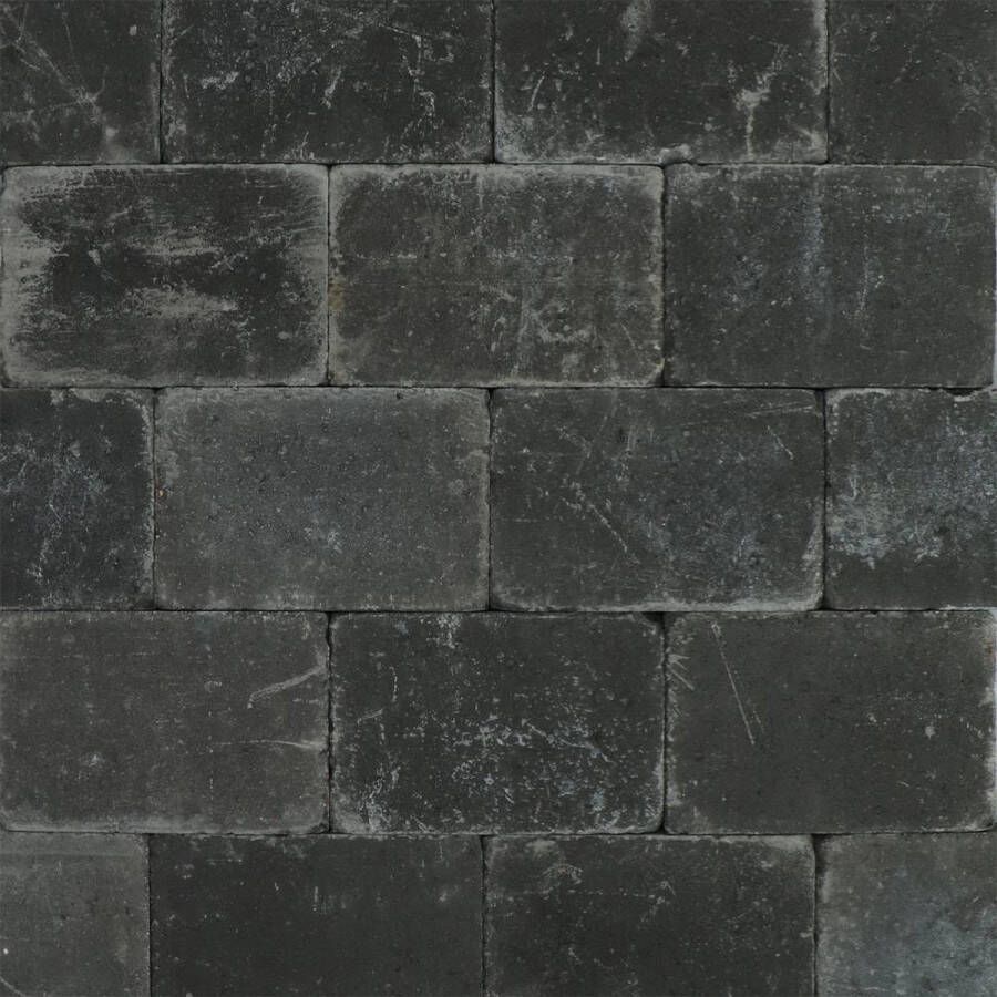 Intergard Trommelstenen of koppelstones abbeystones antraciet 20x30x6cm (m2)