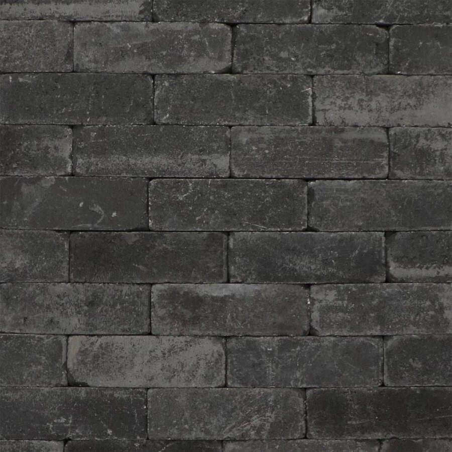 Intergard Trommelstenen of koppelstones dikformaat antraciet 20x6 7x6 7cm (m2)