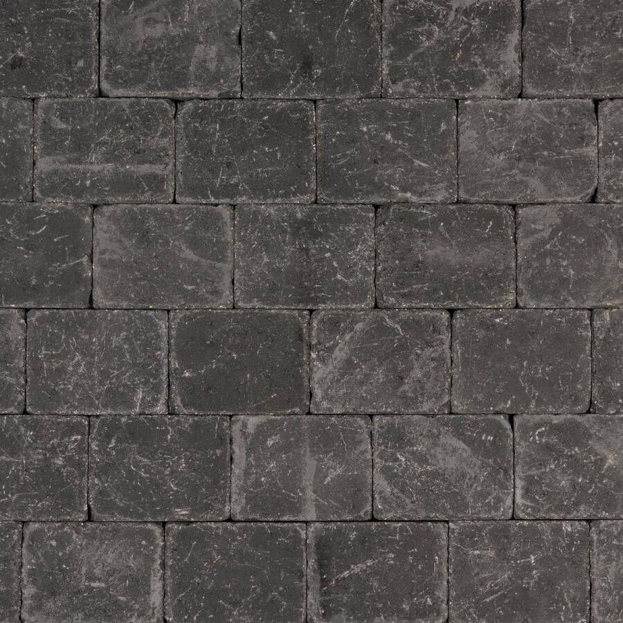Intergard Trommelstenen of koppelstones zwart 21x14x6cm (m2)