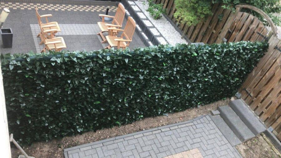 Intergard Kunsthaag Tuinscherm Hedera Klimop 150x300cm