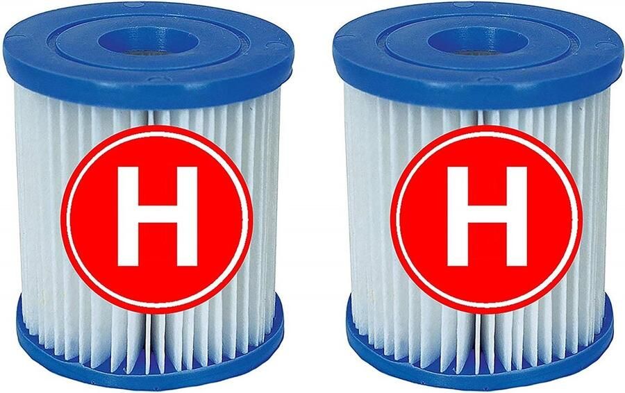 Intex Filterpatroon type H set van 2