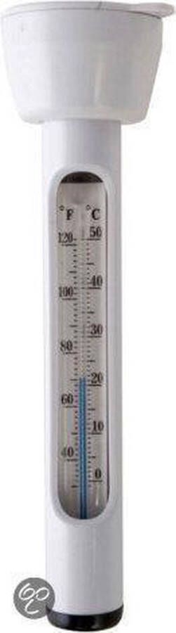 Intex Thermometer Zwembad 16 5 cm