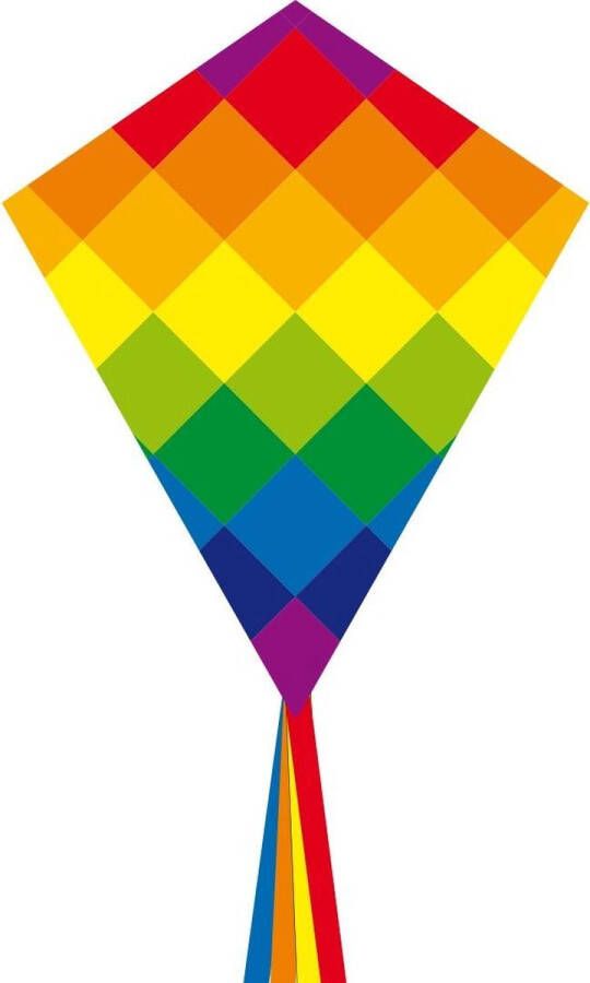 HQ kindervlieger Eddy Rainbow Patchwork 58 X 70 cm Eenlijns vlieger voor kinderen vanaf 5 jaar