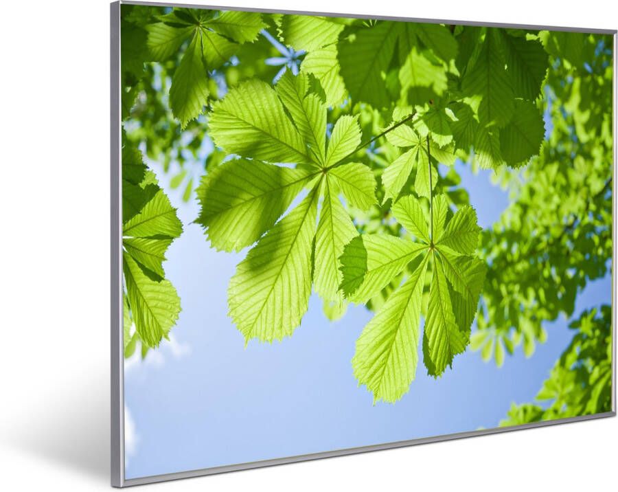Invroheat infrarood verwarmingspaneel 'Leaves' 800Watt 91.5x61cm Een paneel is duurzaam zeer energie efficiënt en warmt snel op afbeelding verwisselbaar