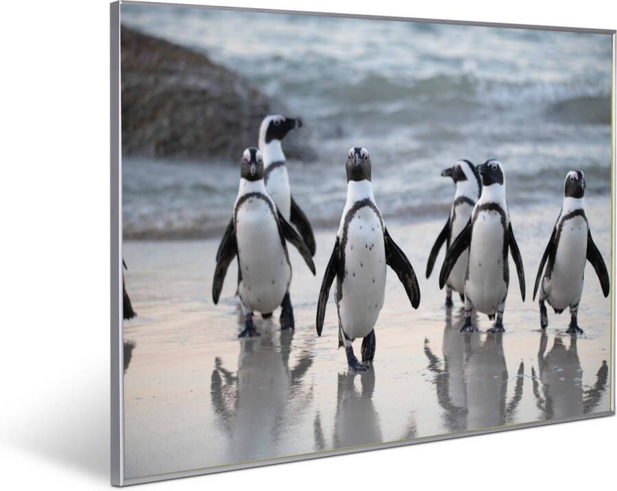 Invroheat infrarood verwarmingspaneel 'Pinguïns' 800Watt 91.5x61cm Een paneel is duurzaam zeer energie efficiënt en warmt snel op afbeelding verwisselbaar