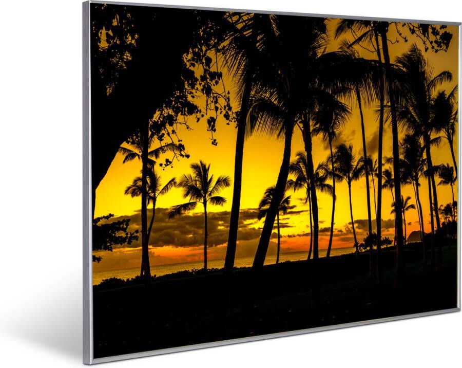 Invroheat infrarood verwarmingspaneel 'Tropical Sunset' 800Watt 91.5x61cm Een paneel is duurzaam zeer energie efficiënt en warmt snel op afbeelding verwisselbaar