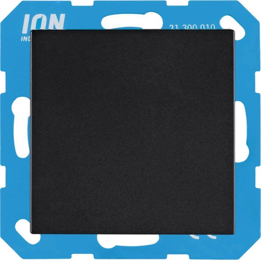 ION Industries blindplaat V1 J1 mat zwart (21.300.016)