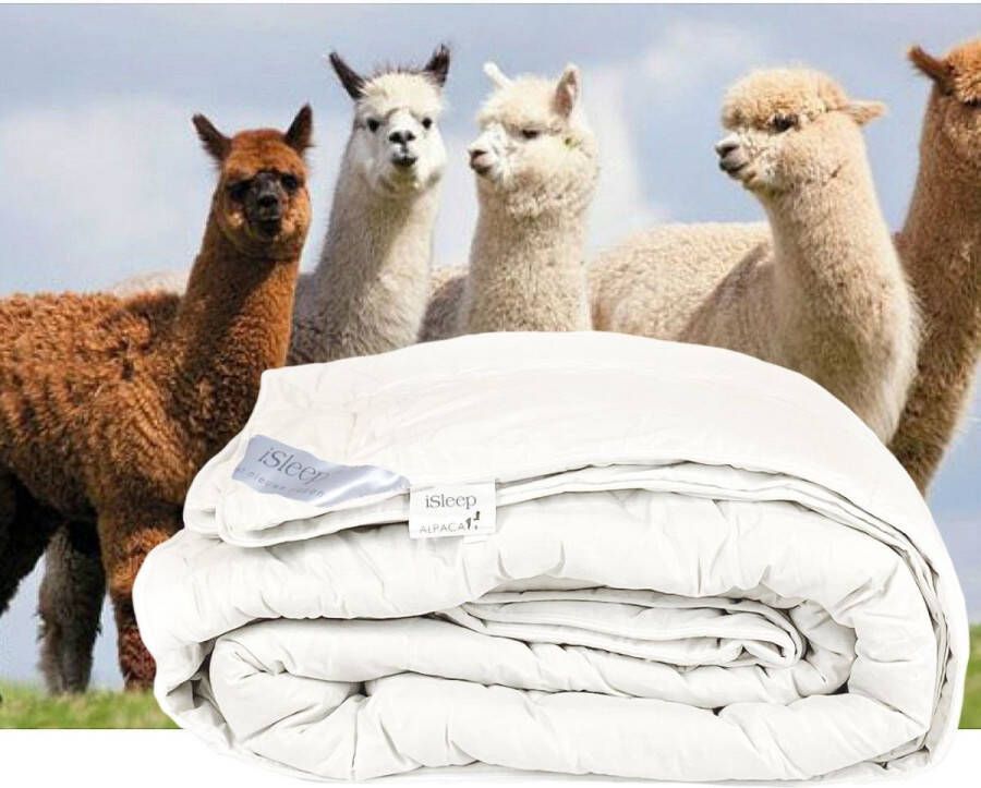 ISleep Alpaca wollen 4-seizoenen dekbed Eenpersoons 140x200 cm