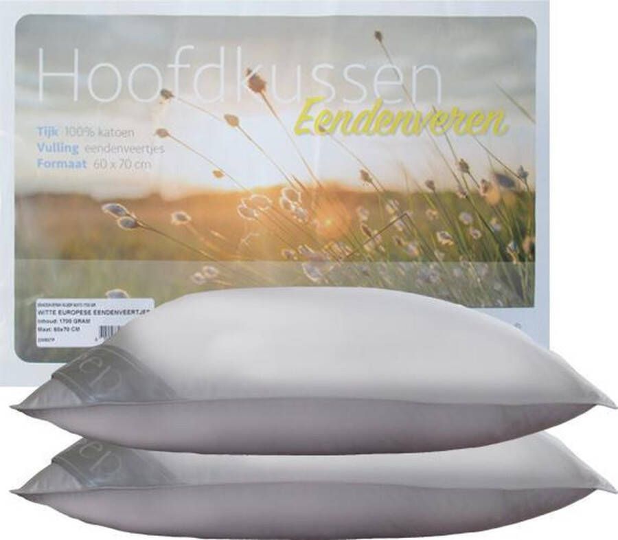 ISleep Hoofdkussen Set (2 Stuks) Eendenveren Medium 1400 gram 60x70 cm Wit