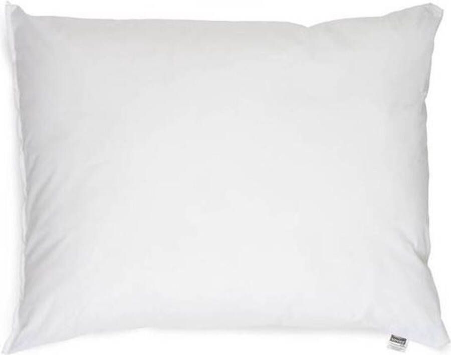 ISleep Trevira Brandvertragend Hoofdkussen 60x70 cm Wit