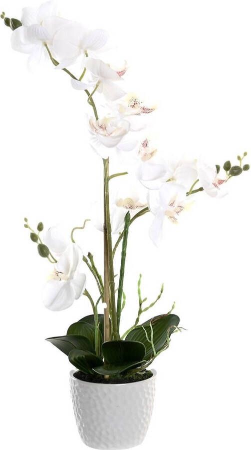 Items Orchidee bloemen kunstplant in witte bloempot witte bloemen H60 cm