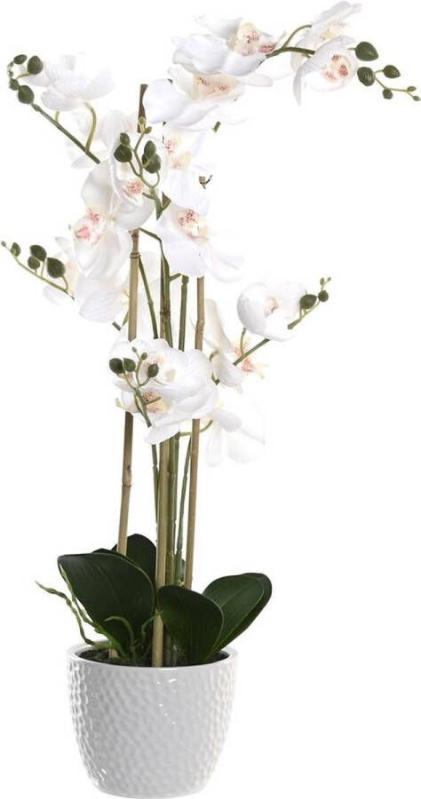 Items Orchidee bloemen kunstplant in witte bloempot witte bloemen H77 cm Kunstplanten