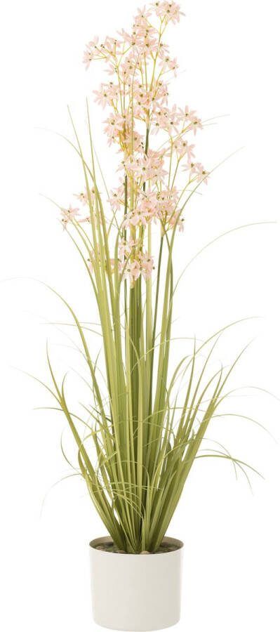 J-Line Allium In Pot Plastiek Groen|Licht Roze Large