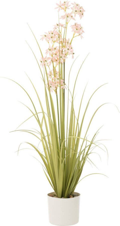 J-Line Allium In Pot Plastiek Groen|Licht Roze Medium