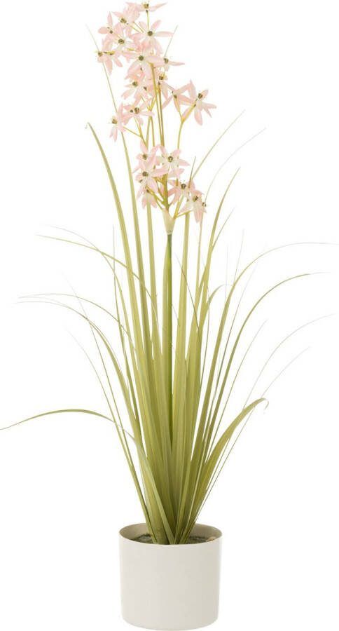 J-Line Allium In Pot Plastiek Groen Licht Roze Small