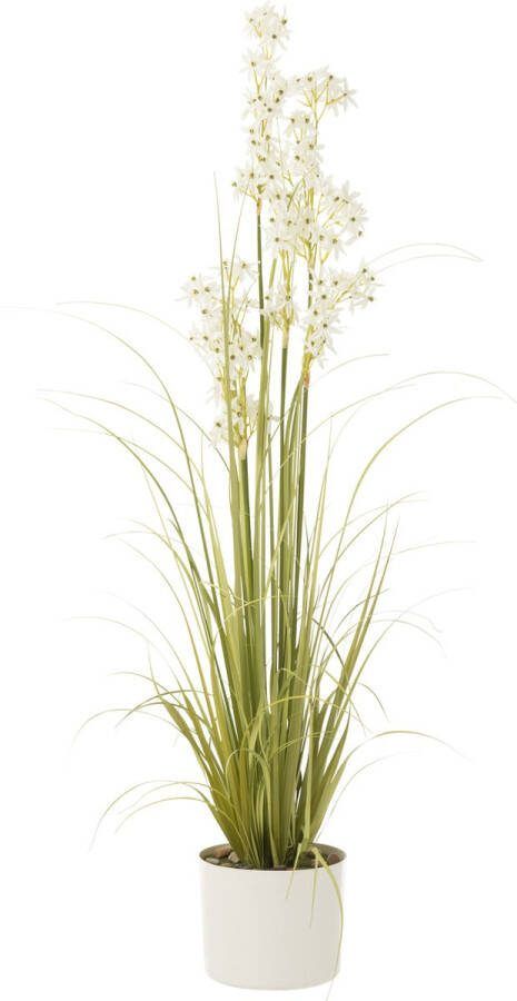J-Line Allium In Pot Plastiek Groen|Wit Large