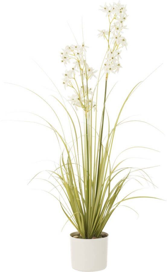 J-Line Allium In Pot Plastiek Groen|Wit Medium