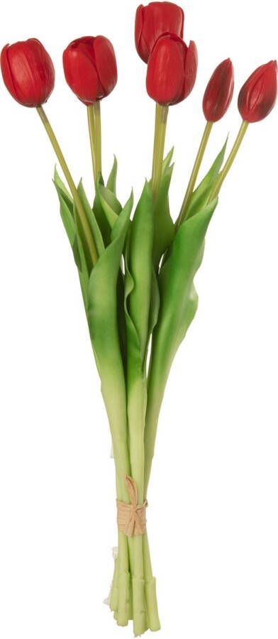 J-Line Boeket tulpen 'Munia' (7 stuks Rood 45.5cm)
