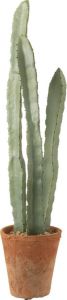 J-Line Cactus 3 Stuks In Pot Plastiek Groen Large