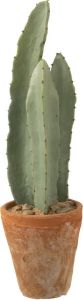 J-Line Cactus 3 Stuks In Pot Plastiek Groen Small