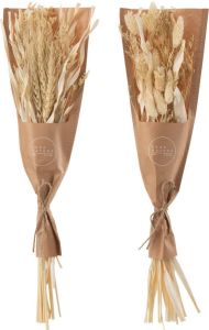 J-Line Droogbloemen Droogboeket Bundel Gedroogde Avana Gras Naturel Assortiment Van 2