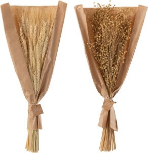 J-Line Droogbloemen Droogboeket Bundel Gedroogde Vlas+Tarwe Grass Naturel Assortiment Van 2