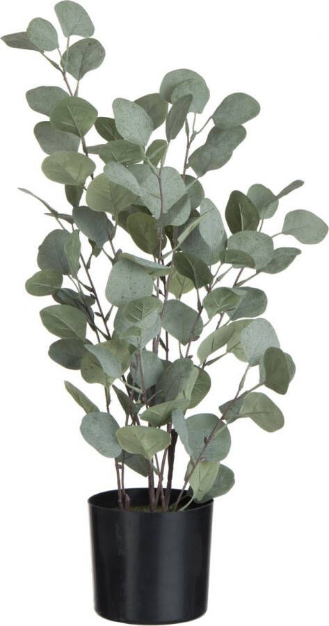 J-Line Eucalyptus In Pot Plastiek Groen Large