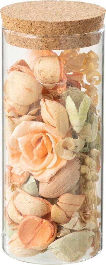 J-Line Gedroogde Bloem+Dennehout Perzik Belani In Pot Glas Oranje