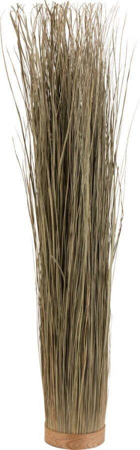 J-Line Grassen Gedroogd Rond Groen Large